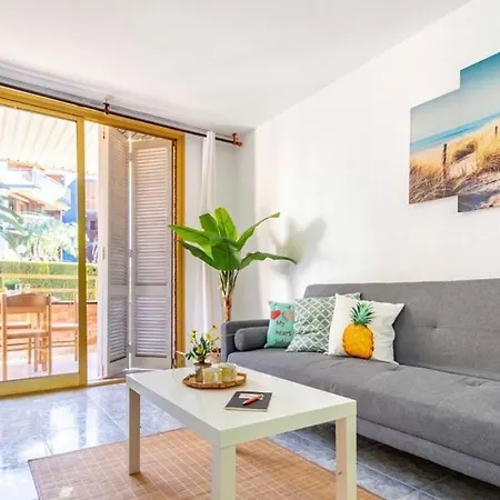 Optimist 캠브릴스